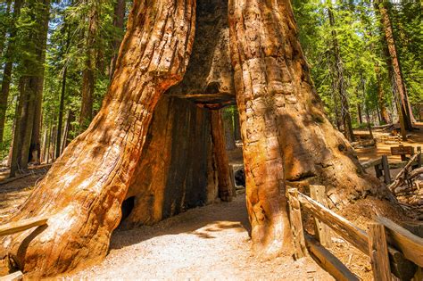 Sehenswürdigkeiten im Sequoia-Nationalpark